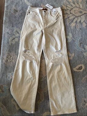 Judy Blue Bone Retro Rebel Straight Leg
